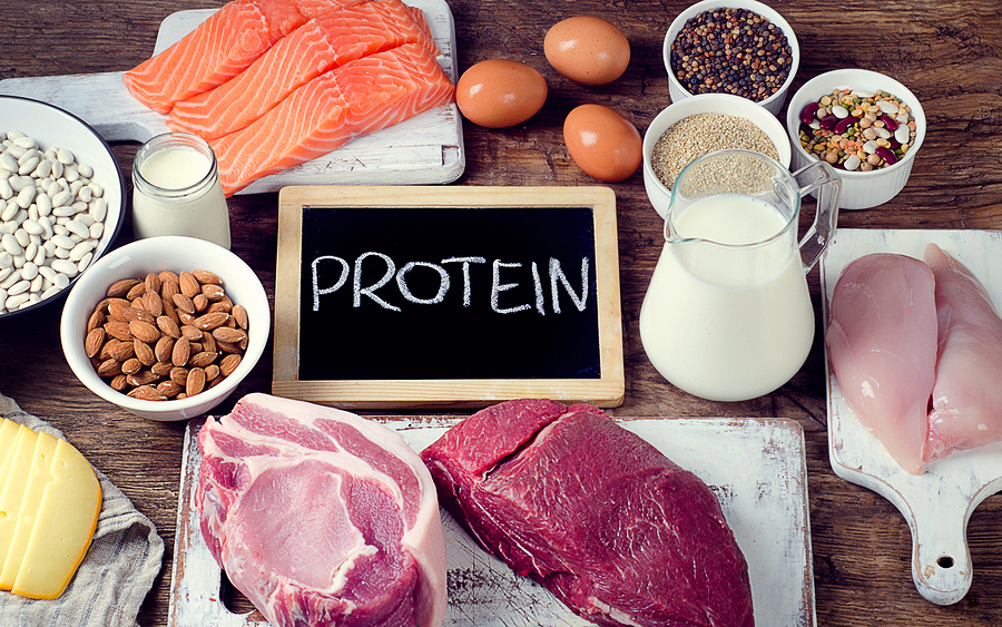 Best Foods High In Protein